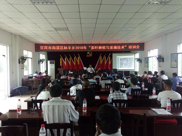 �Ĵ���Ϫ����Ҷ��ֲ��ѵ ����ƶ���������¸�·