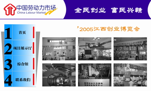 2005������ҵ����������չʾ��