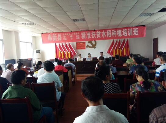 �������£���׼��ѵ��ƶΪƶ���Ͷ�����ƶ�¸�������